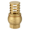 Brass Foot Valve