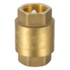 Brass Spring Check Valve