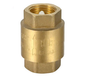 Brass Spring Check Valve