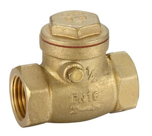 Brass Swing Check Valve