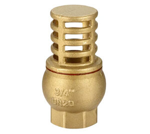 Brass Foot Valve